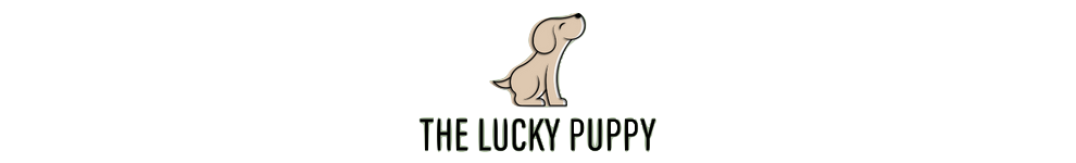 The Lucky Puppy